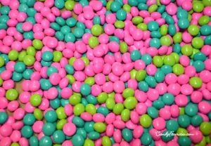 Chocolate Dinner Mints
