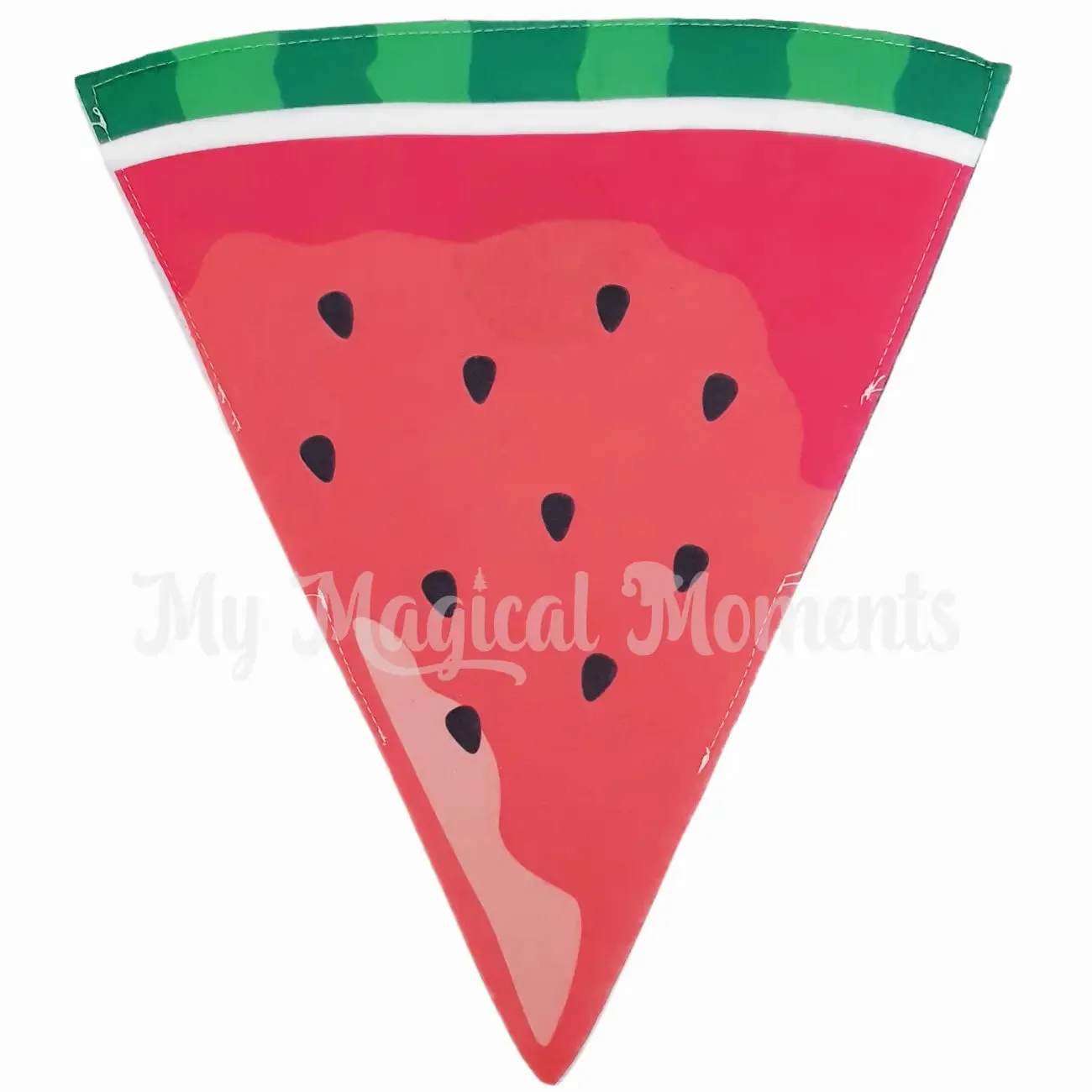 Costume - Watermelon