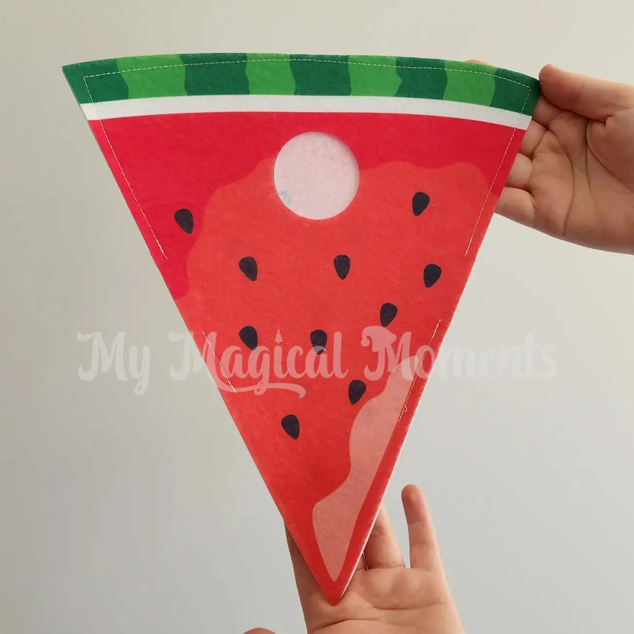 Costume - Watermelon