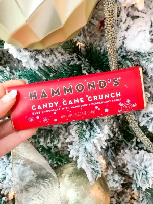Dark Chocolate Candy Bar - Candy Cane Crunch
