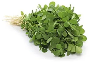 Fresh Produce Methi Leaf Bunch