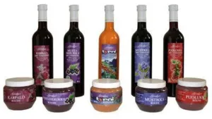 Sea Buckthorn Nectar, 250 ml
