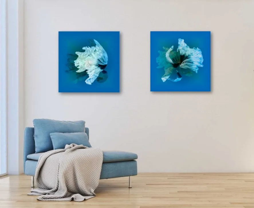 Serenity III by Michelle Elwell