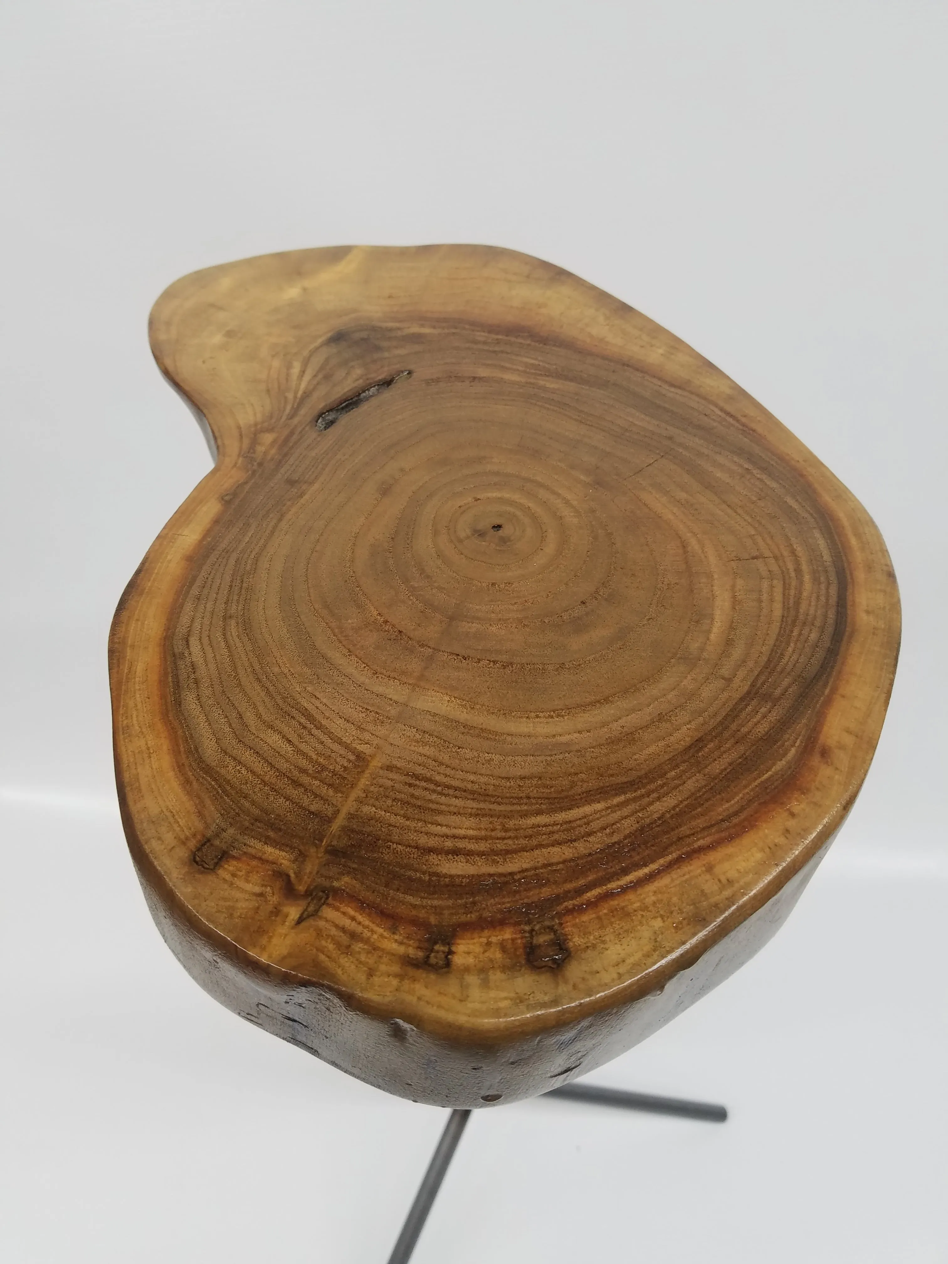 Side Table- End Table- Plant Stand- Live Edge- Steel Base- Black Walnut- Tree Slice- Drink Stand- Modern- Cool- Nature- Living Room- Home