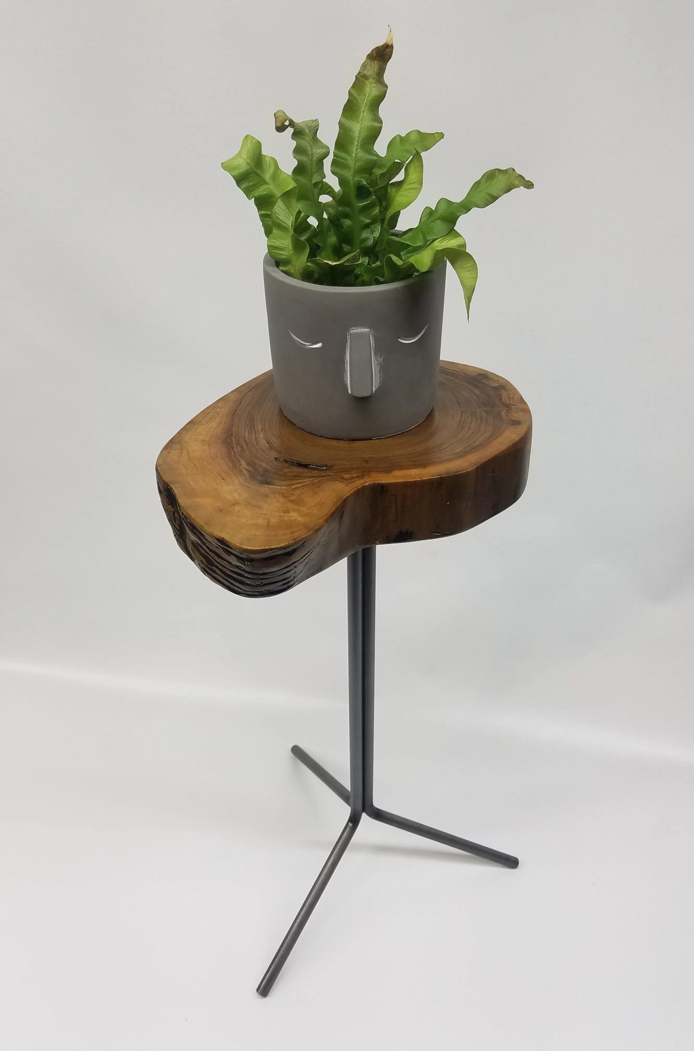 Side Table- End Table- Plant Stand- Live Edge- Steel Base- Black Walnut- Tree Slice- Drink Stand- Modern- Cool- Nature- Living Room- Home