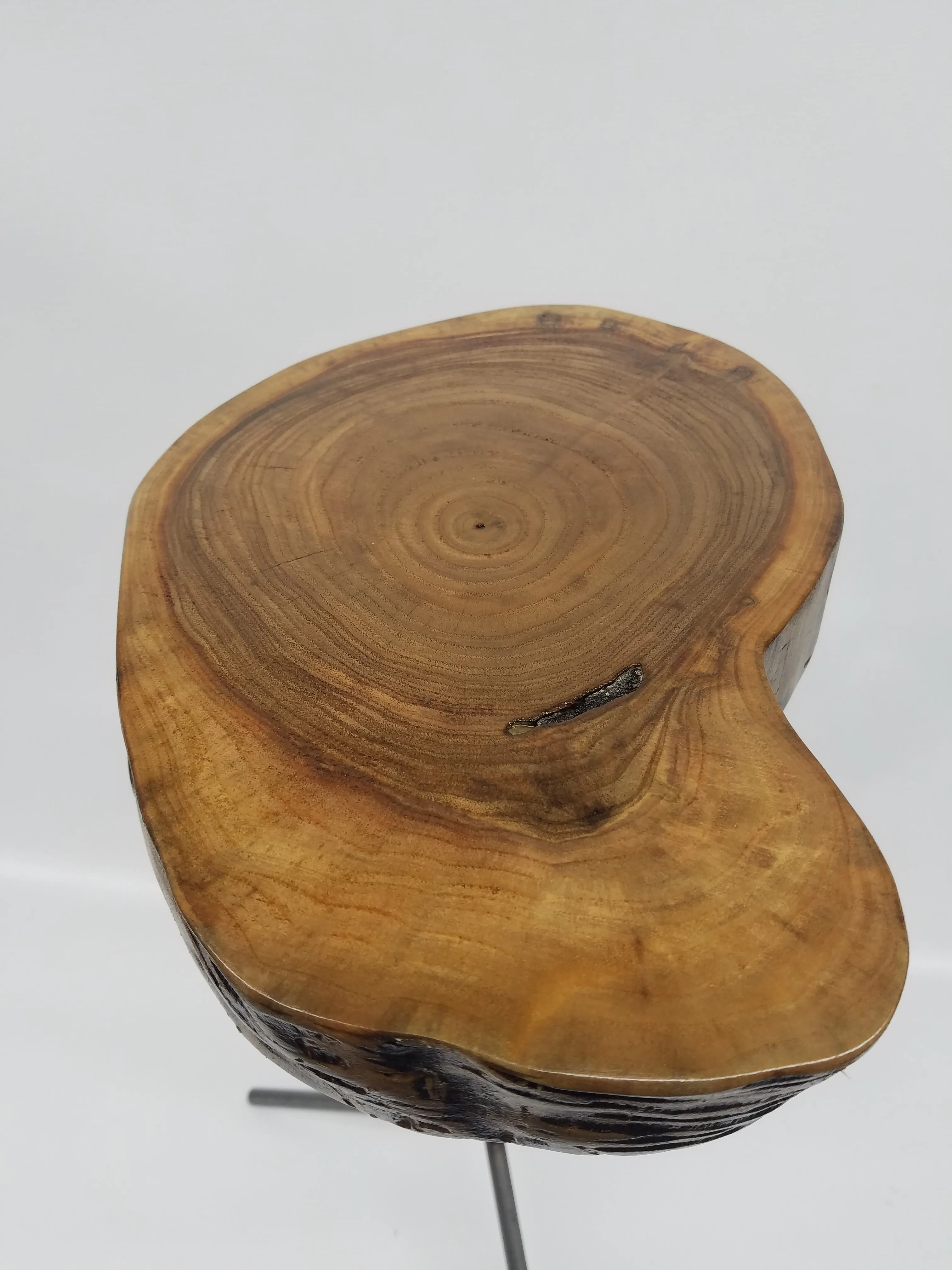 Side Table- End Table- Plant Stand- Live Edge- Steel Base- Black Walnut- Tree Slice- Drink Stand- Modern- Cool- Nature- Living Room- Home