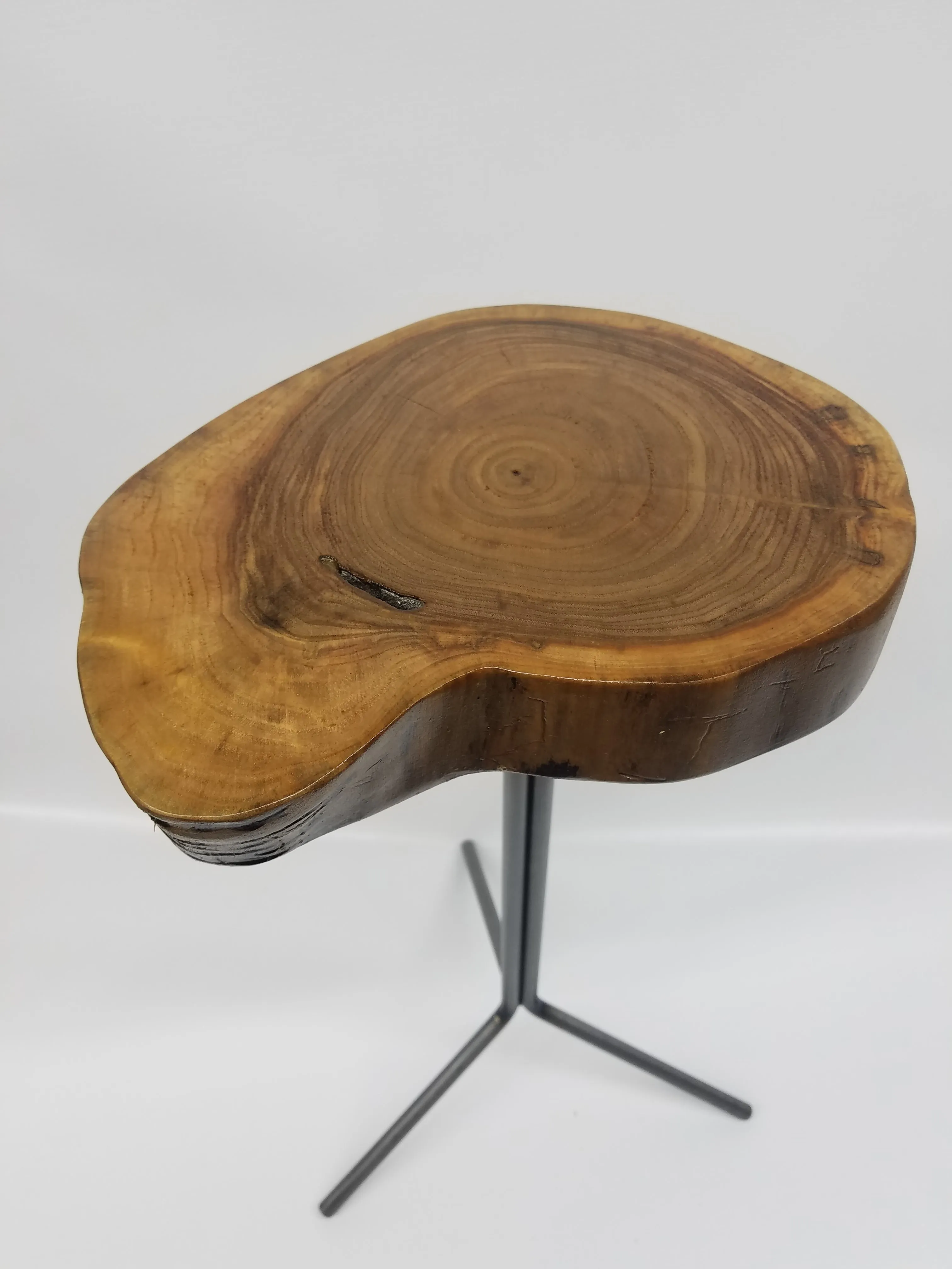 Side Table- End Table- Plant Stand- Live Edge- Steel Base- Black Walnut- Tree Slice- Drink Stand- Modern- Cool- Nature- Living Room- Home