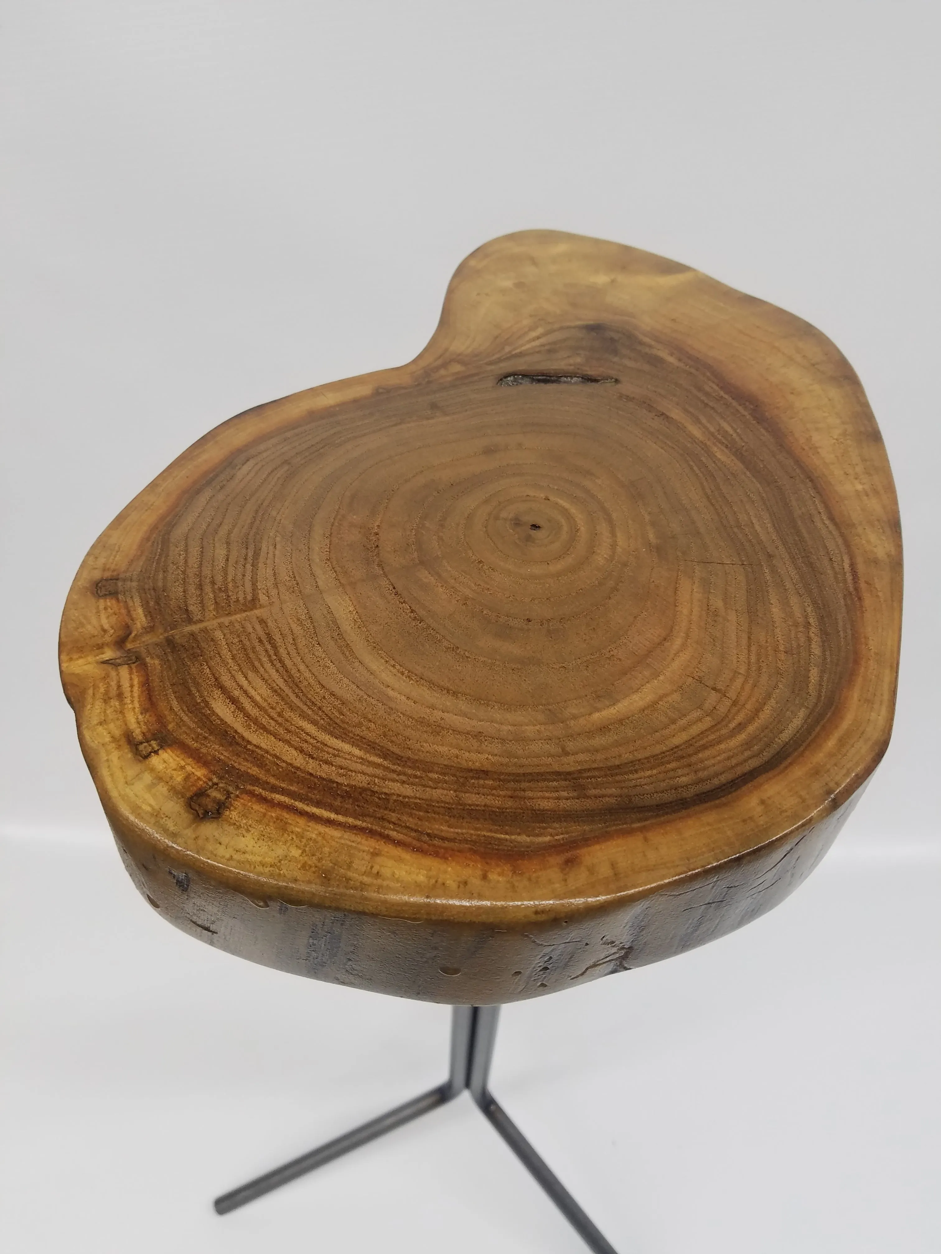 Side Table- End Table- Plant Stand- Live Edge- Steel Base- Black Walnut- Tree Slice- Drink Stand- Modern- Cool- Nature- Living Room- Home