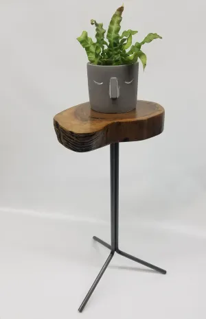 Side Table- End Table- Plant Stand- Live Edge- Steel Base- Black Walnut- Tree Slice- Drink Stand- Modern- Cool- Nature- Living Room- Home