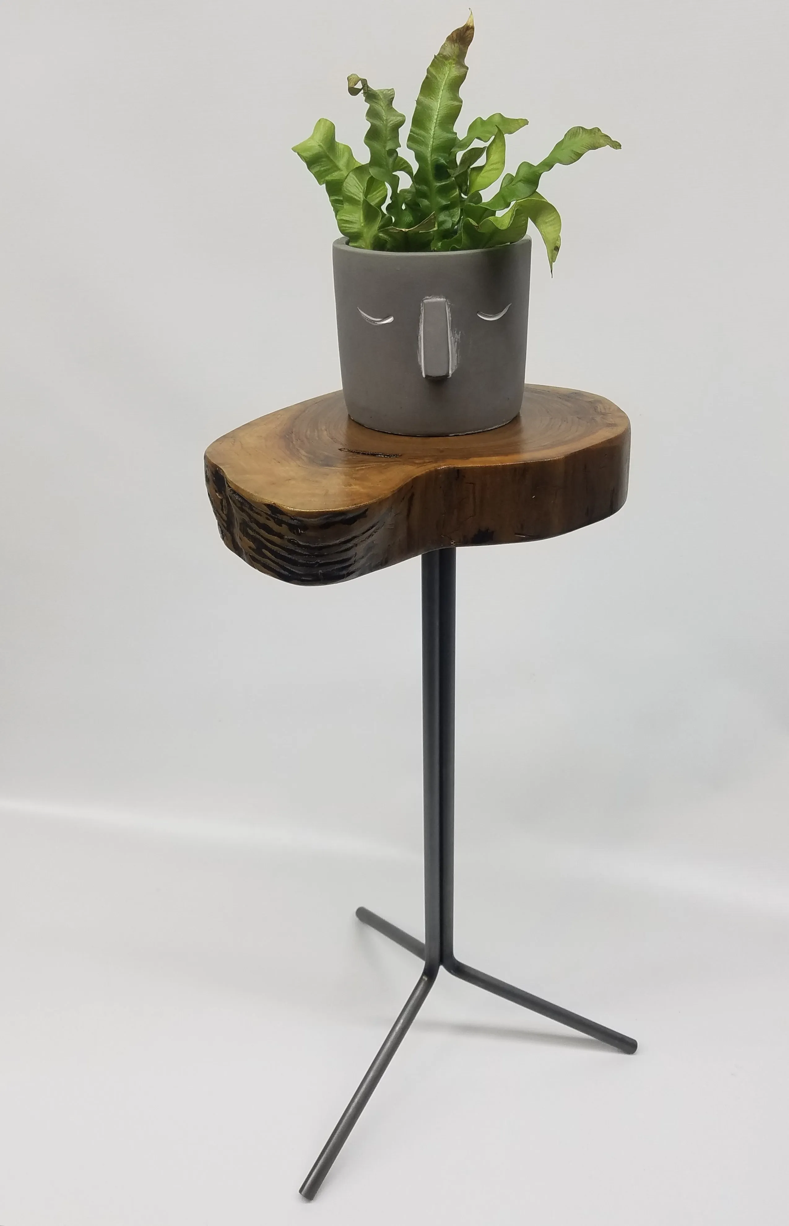 Side Table- End Table- Plant Stand- Live Edge- Steel Base- Black Walnut- Tree Slice- Drink Stand- Modern- Cool- Nature- Living Room- Home