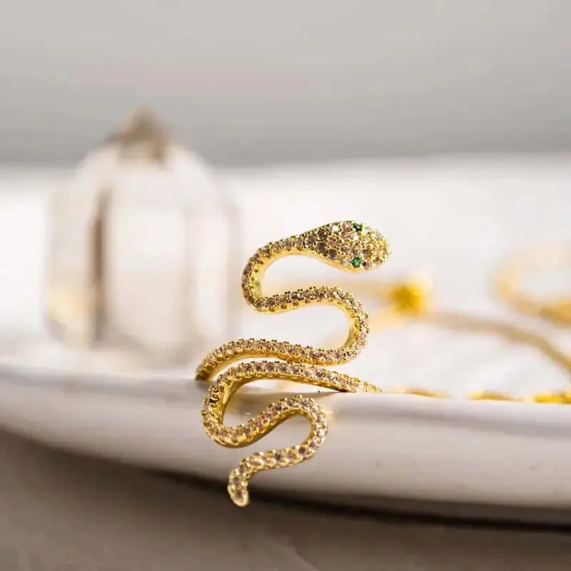 Snake Ring | Power, Grace and Transformation | Spiritual Jewelry