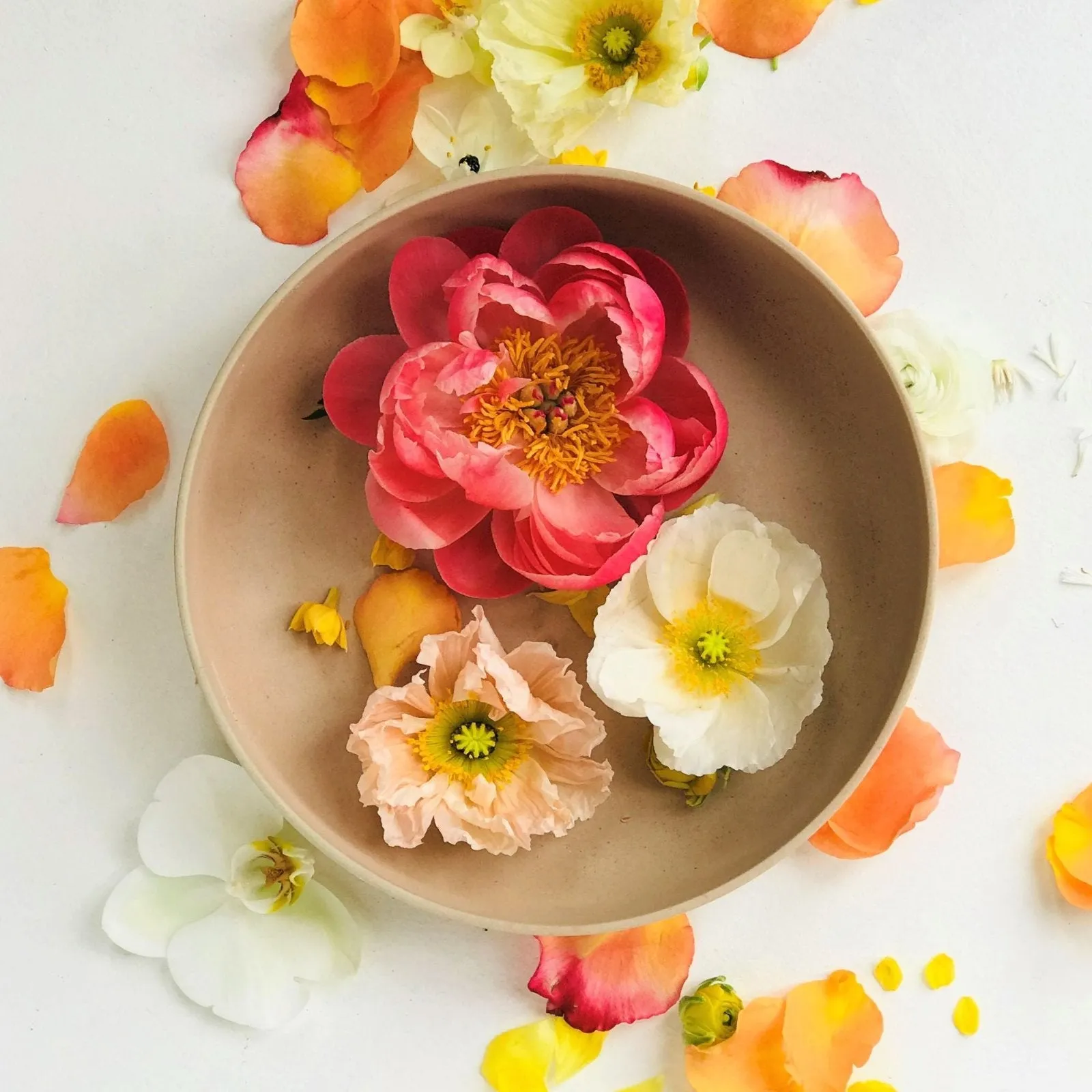 Stacy K Floral | The Classic Vahz Floral Subscription