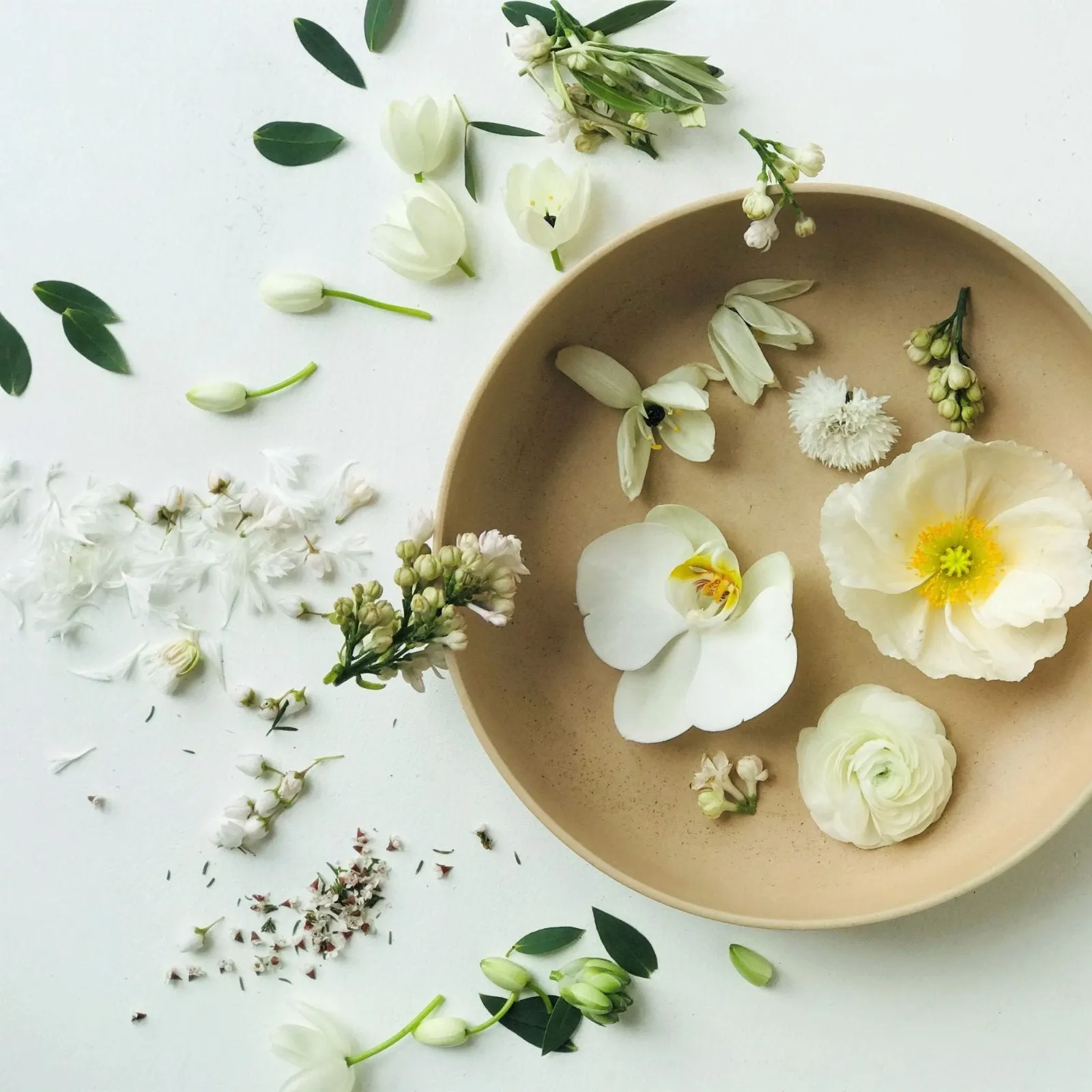 Stacy K Floral | The Classic Vahz Floral Subscription