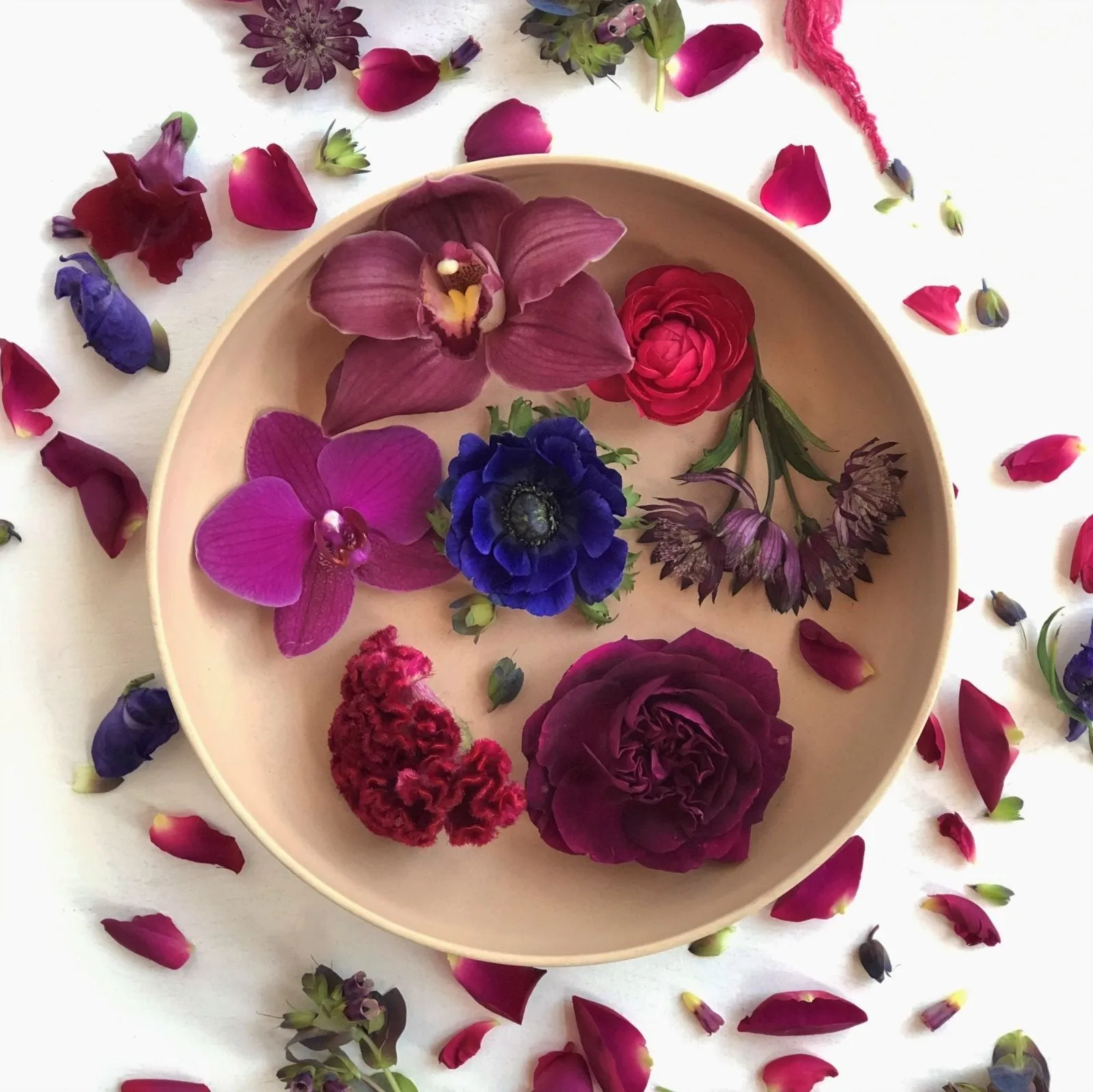 Stacy K Floral | The Classic Vahz Floral Subscription